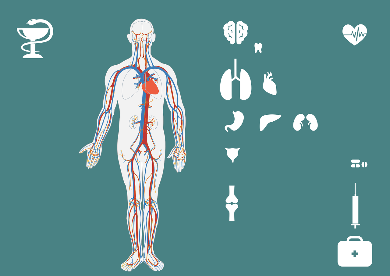 脊柱裂最新治療方法詳解，探索與理解其應(yīng)用與效果