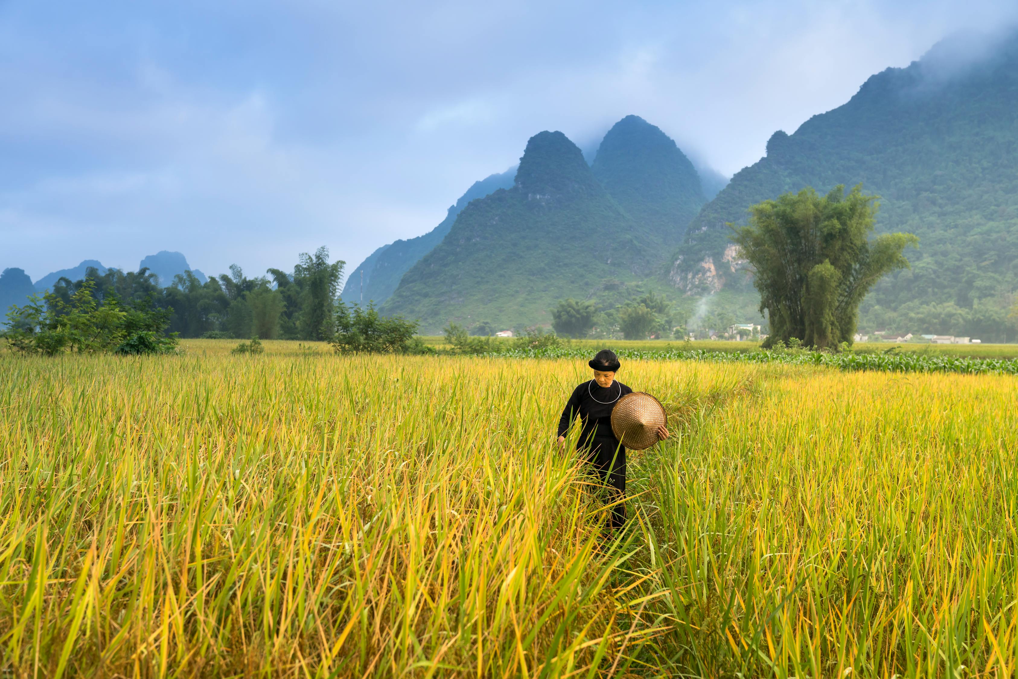 招遠(yuǎn)市農(nóng)業(yè)農(nóng)村局人事最新任命公告